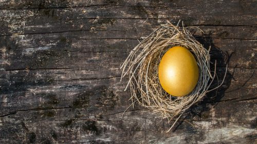 growing your nest egg